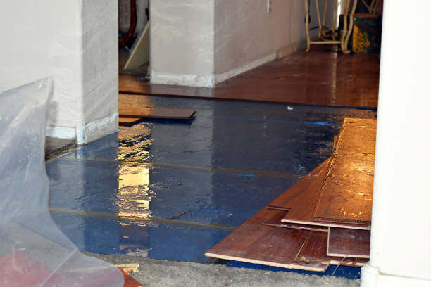 Professional Flood Cleanup technician working in Frankfort, MI