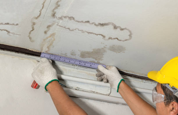 Reliable Flood Cleanup contractor in Frankfort, MI by Water Damage Irwin